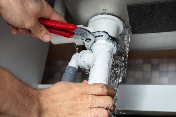 Best Water damage cleanup near me  in Alto, GA
