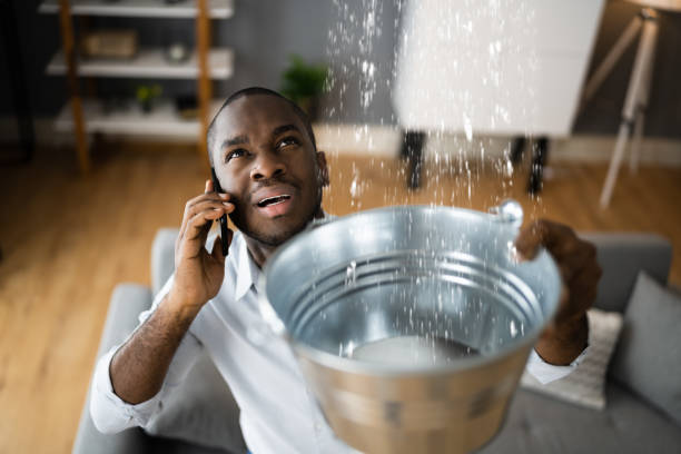 Best Carpet water damage restoration  in Alto, GA