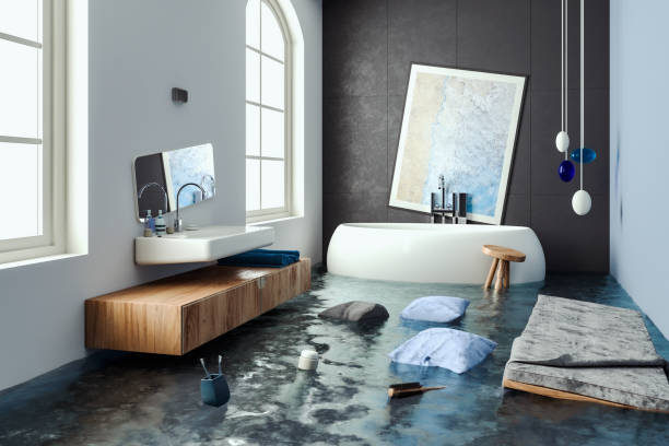 Best Professional water damage repair  in Alto, GA
