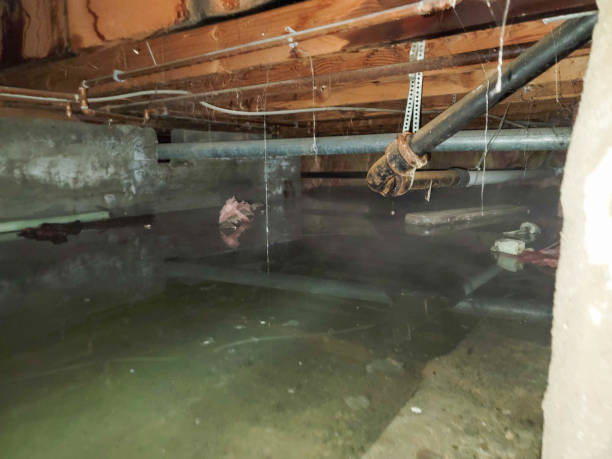 Best Ceiling water damage repair  in Alto, GA
