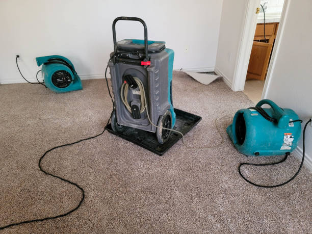 Best Water damage restoration process  in Alto, GA