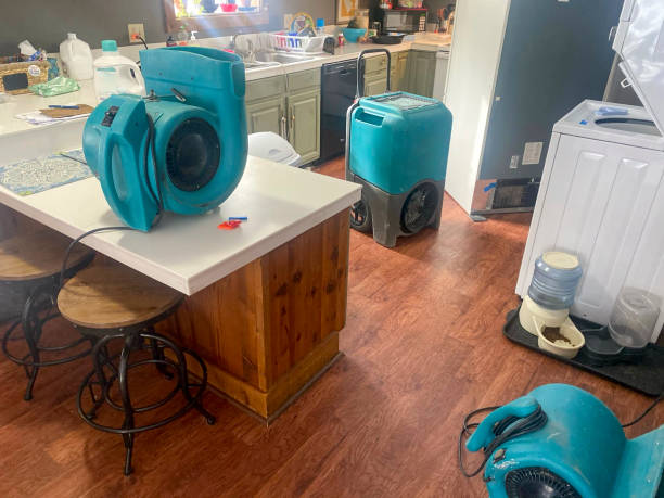 Best Emergency water damage restoration  in Alto, GA