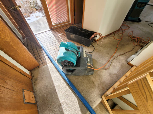 Best 24/7 water damage repair  in Alto, GA