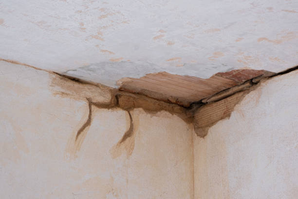 Best Flood damage cleanup  in Alto, GA