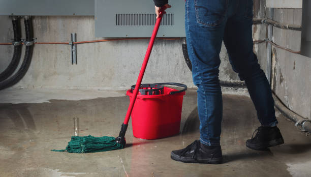 Best Local water damage restoration  in Alto, GA