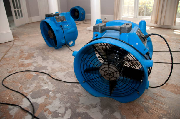 Best Commercial water damage restoration  in Alto, GA