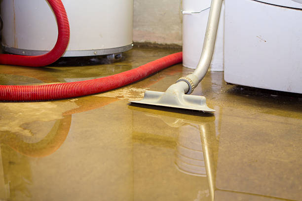  Alto, GA Water damage restoration Pros