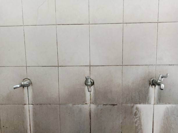 Best Flooded house restoration  in Alto, GA