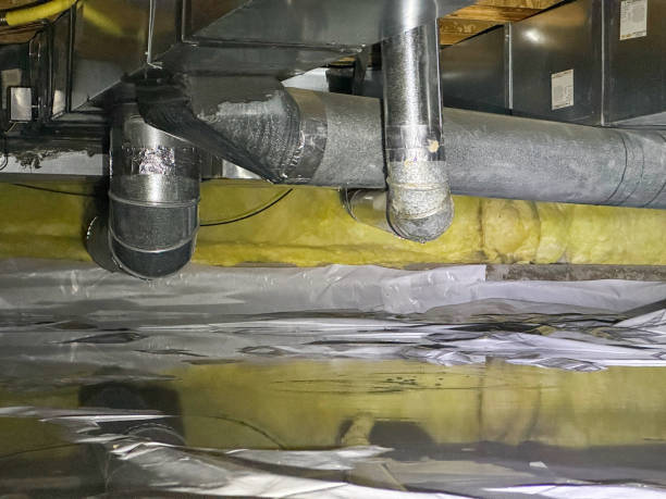 Best Local water damage restoration  in Alto, GA