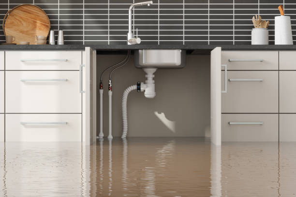 Best Basement water damage restoration  in Alto, GA