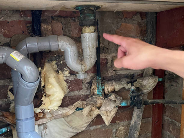 Best Mold removal after water damage  in Alto, GA