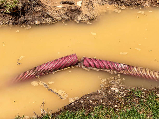 Best Water damage restoration services  in Alto, GA