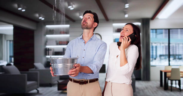 Best Fire Damage Restoration  in Alto, GA