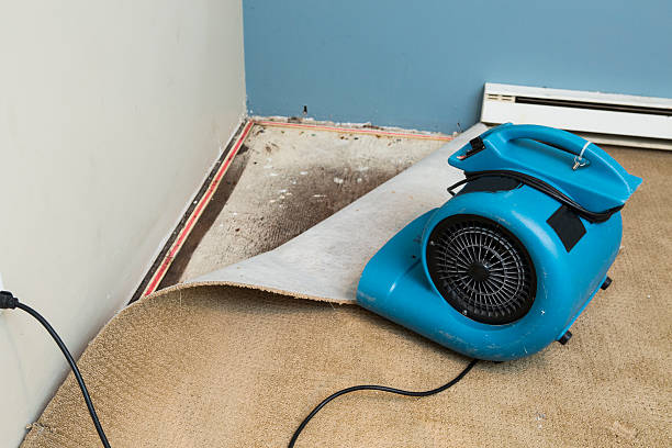 Best Ceiling water damage repair  in Alto, GA