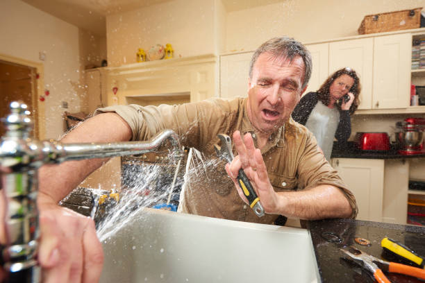 Best Water damage restoration near me  in Alto, GA